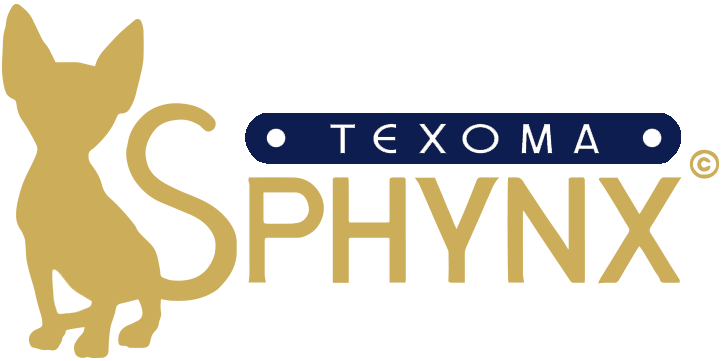 Texoma Sphynx